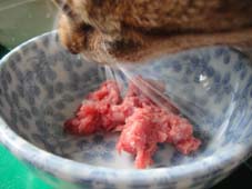 20090726_6 20090726_6