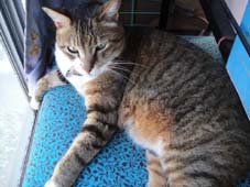 20090726_8 20090726_8